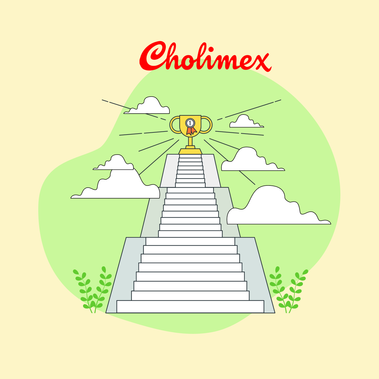 Cholimex và hành trình khẳng định vị thế